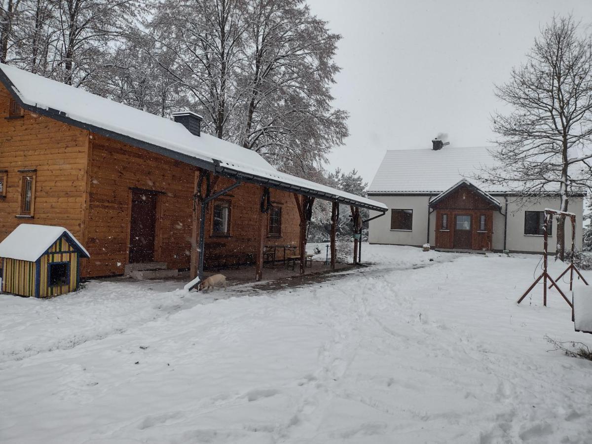 Kolorowe Wzgorze Agroturystyka I Konie Trojanow Exterior foto